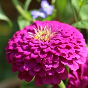 Meet your Posher, Dawn